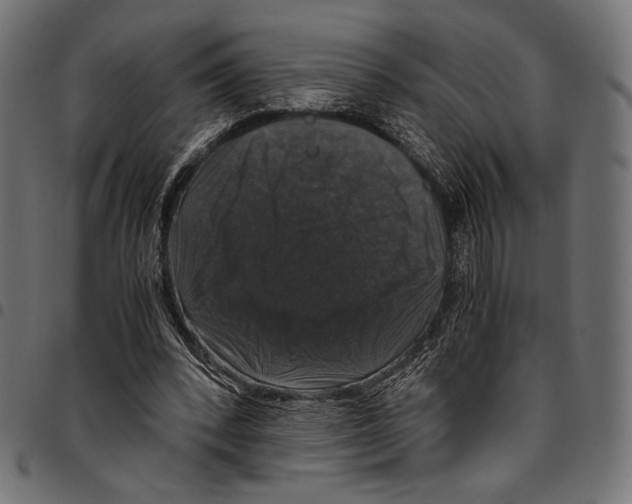 X0000094780392200712141625