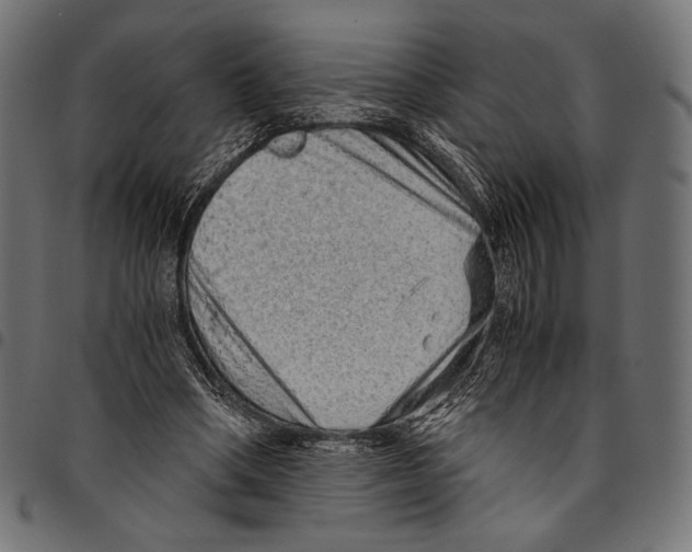 X0000094780394200712141625