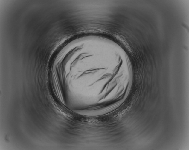 X0000094780395200712141625