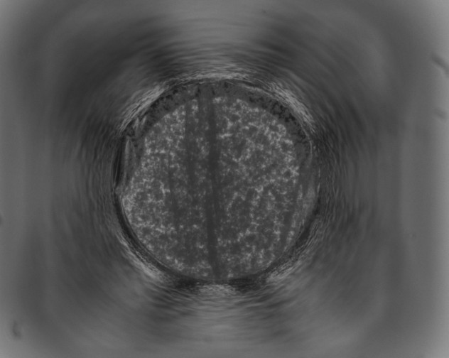 X0000094780397200712141625