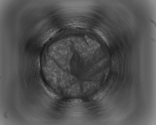 X0000094780398200712141625