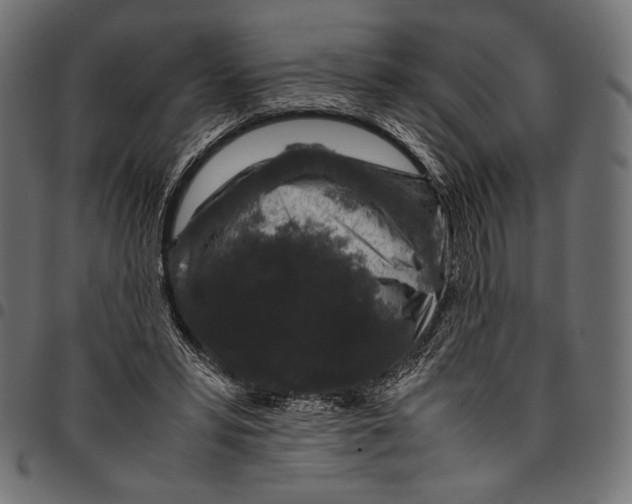 X0000094780399200712141625