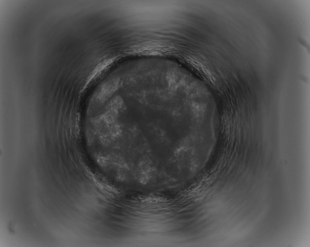 X0000094780400200712141625