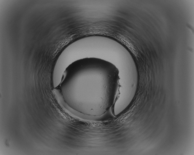 X0000094780401200712141625