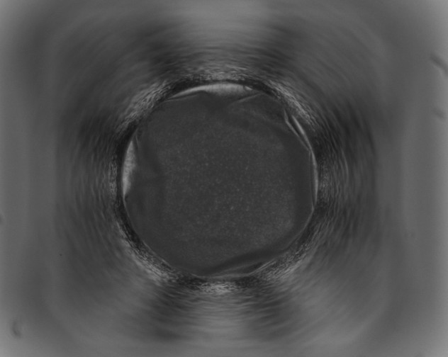 X0000094780402200712141625