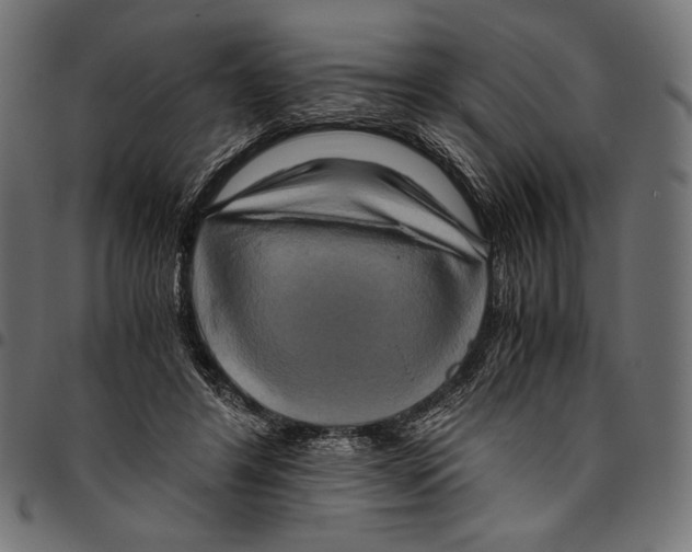 X0000094780404200712141624