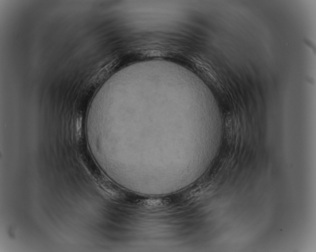 X0000094780406200712141624