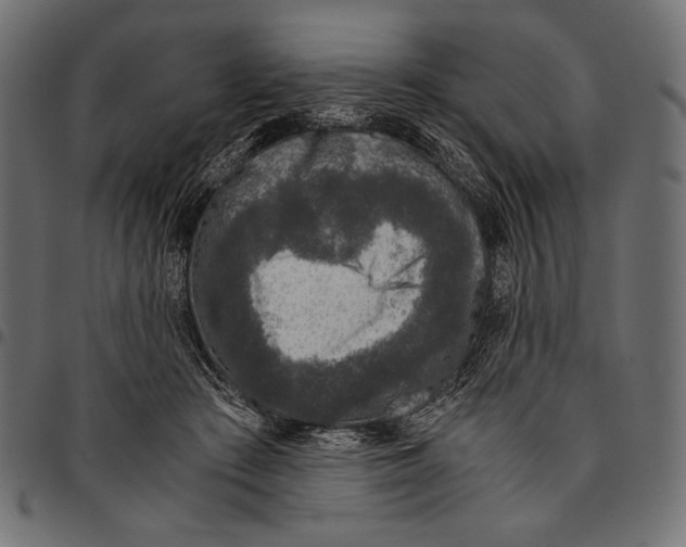 X0000094780409200712141624