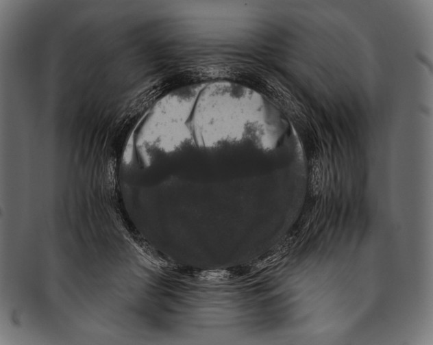 X0000094780410200712141624