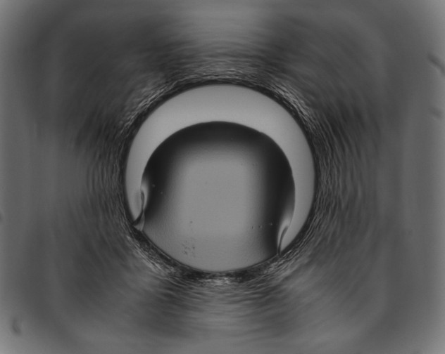 X0000094780411200712141624