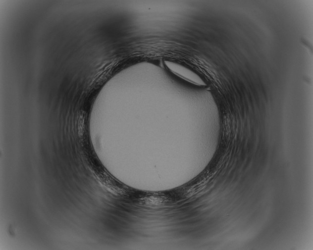 X0000094780412200712141624