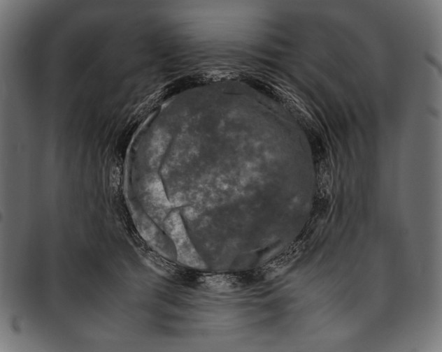 X0000094780417200712141624