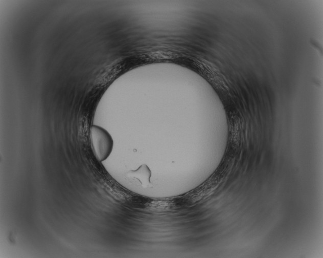 X0000094780418200712141624