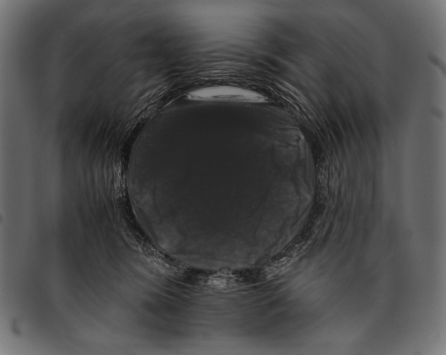 X0000094780420200712141624