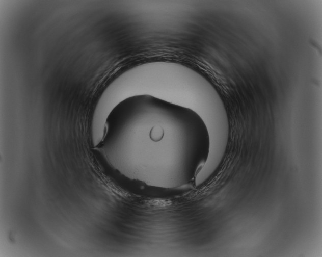 X0000094780421200712141624