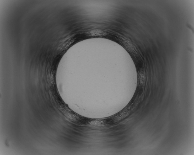 X0000094780422200712141624