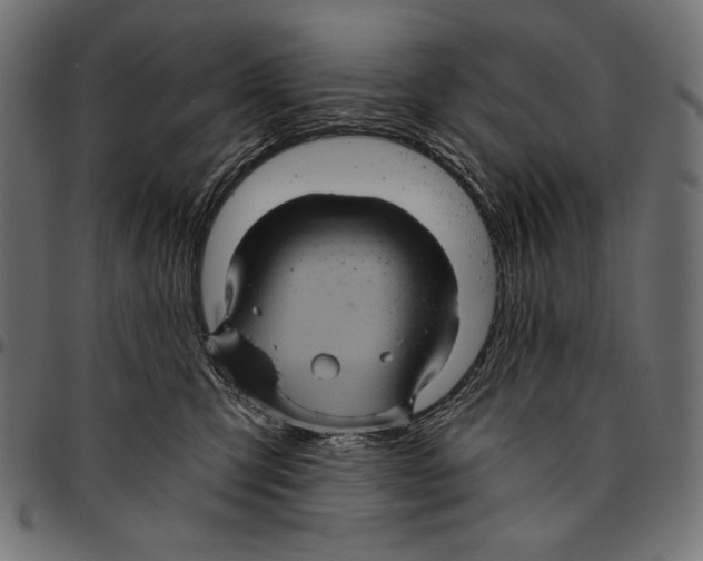 X0000094780423200712141624