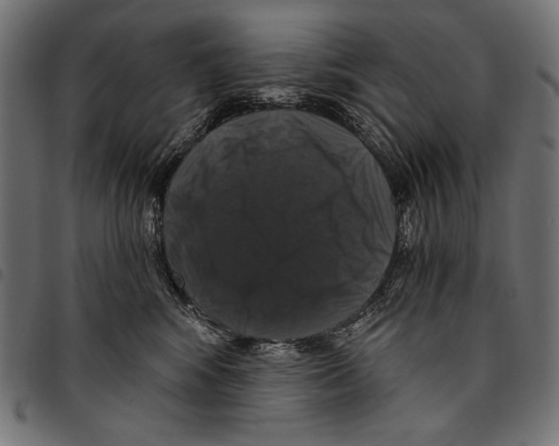 X0000094780424200712141624