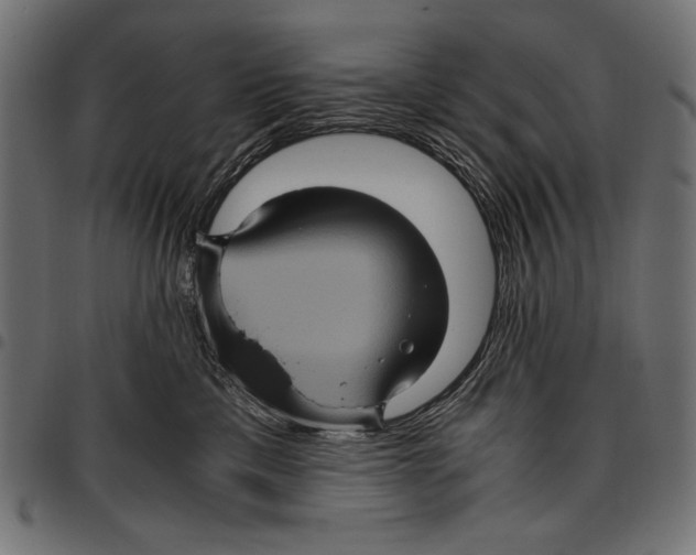 X0000094780425200712141624