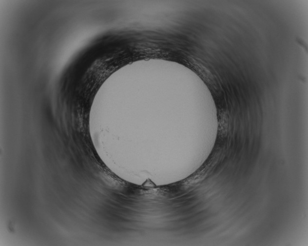 X0000094780430200712141624