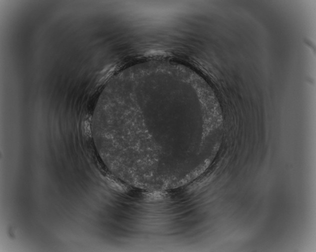 X0000094780432200712141624