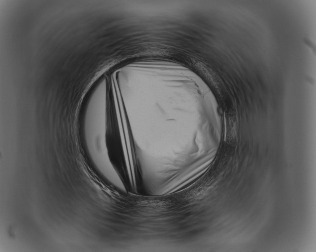 X0000094780435200712141623