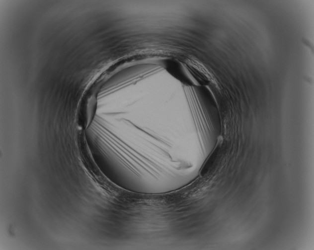 X0000094780436200712141623