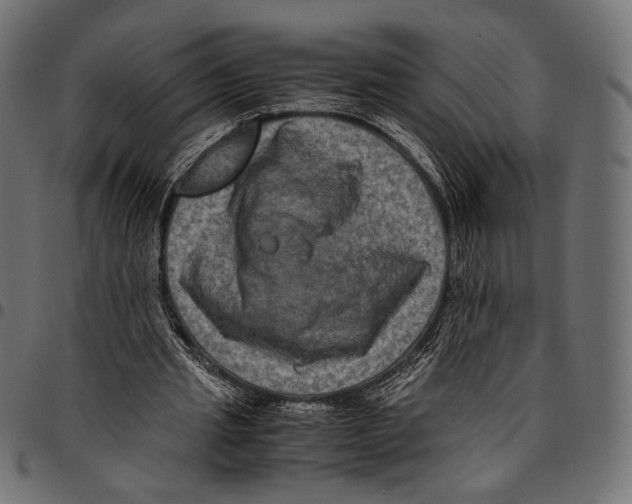 X0000094780437200712141624