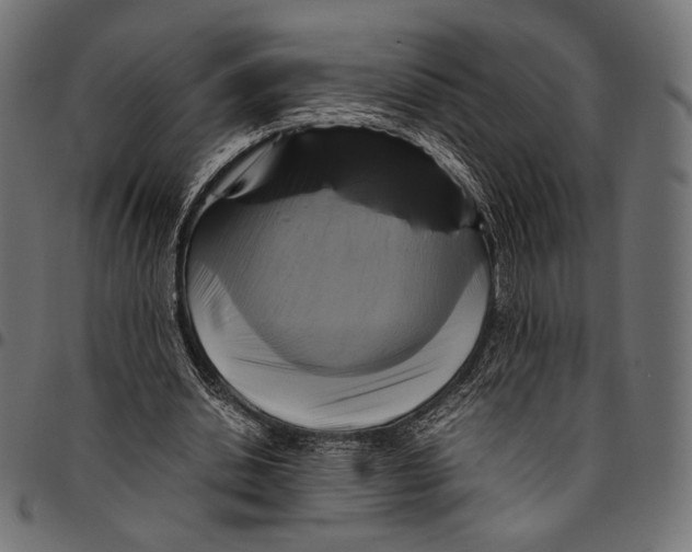 X0000094780438200712141624