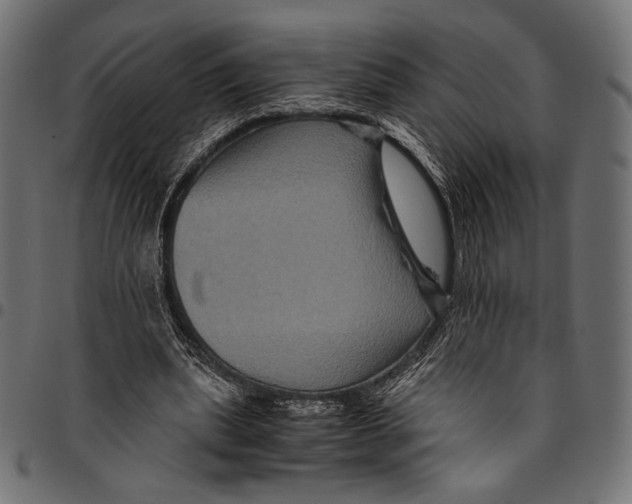 X0000094780439200712141624