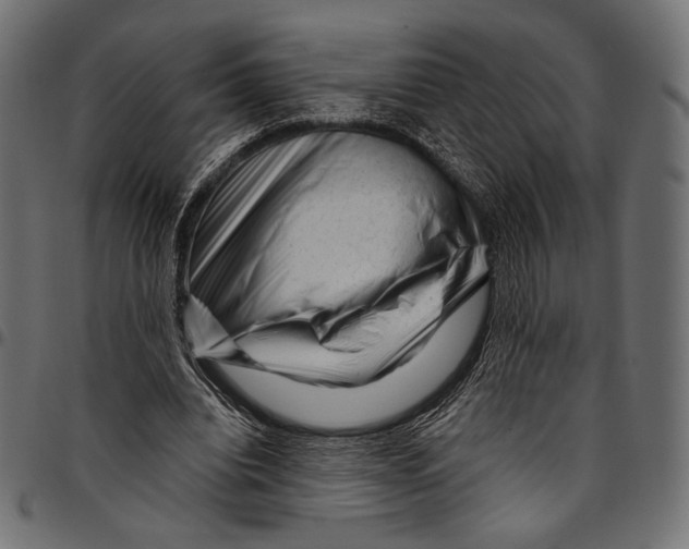 X0000094780440200712141624