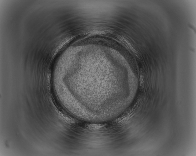 X0000094780444200712141624