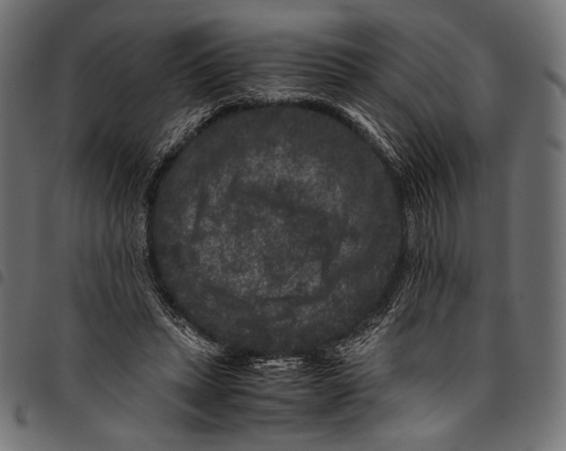 X0000094780447200712141624