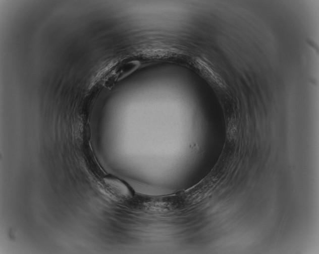 X0000094780448200712141624