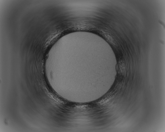 X0000094780450200712141624