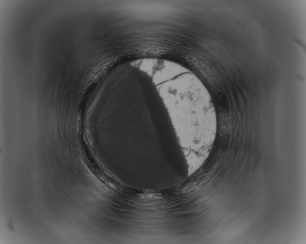 X0000094780451200712141624