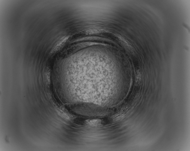 X0000094780452200712141624