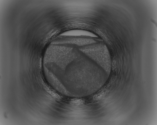 X0000094780454200712141624