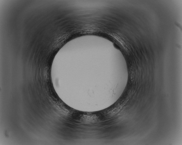 X0000094780455200712141624