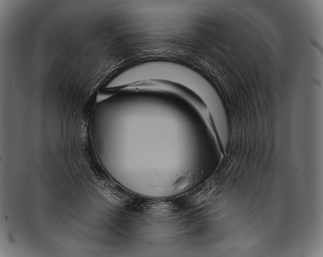 X0000094780456200712141624