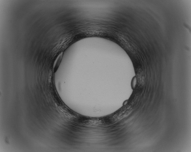 X0000094780458200712141624