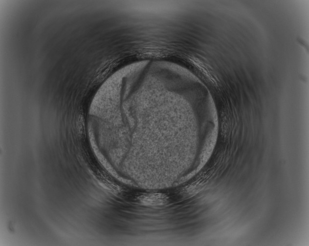 X0000094780459200712141624