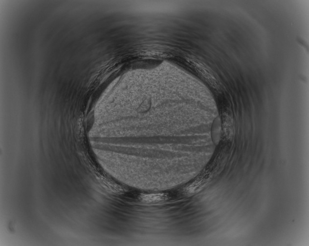 X0000094780461200712141624