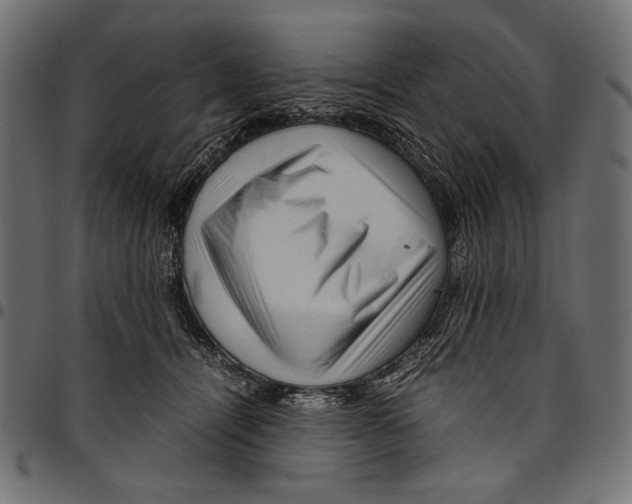 X0000094780464200712141624