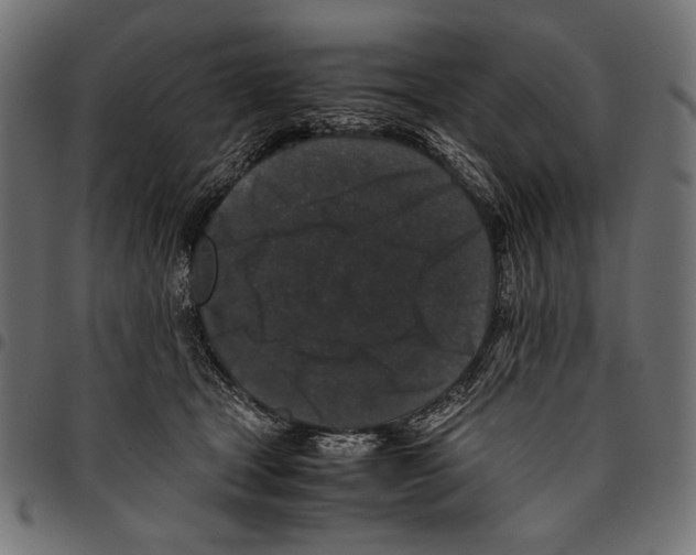 X0000094780465200712141624