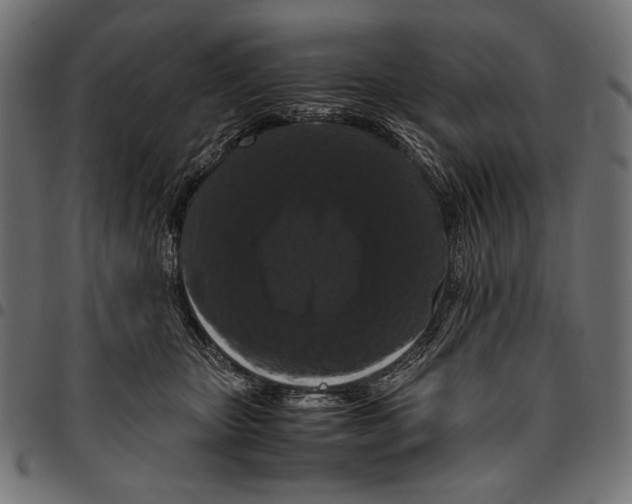 X0000094780467200712141624