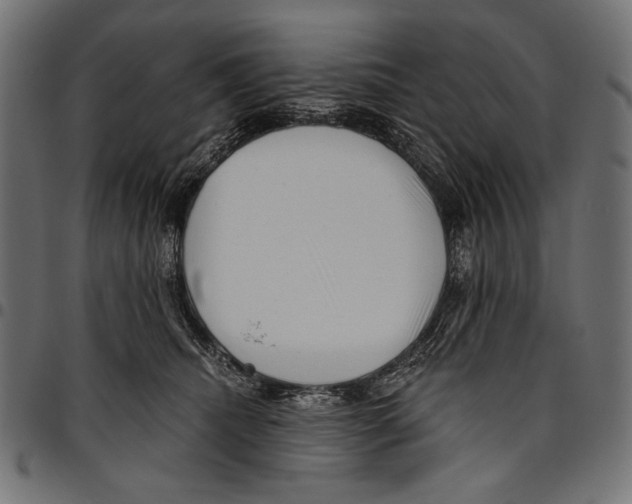 X0000094780468200712141624