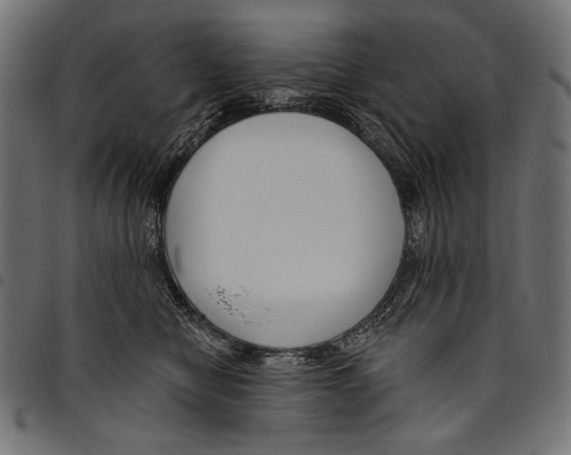 X0000094780470200712141624