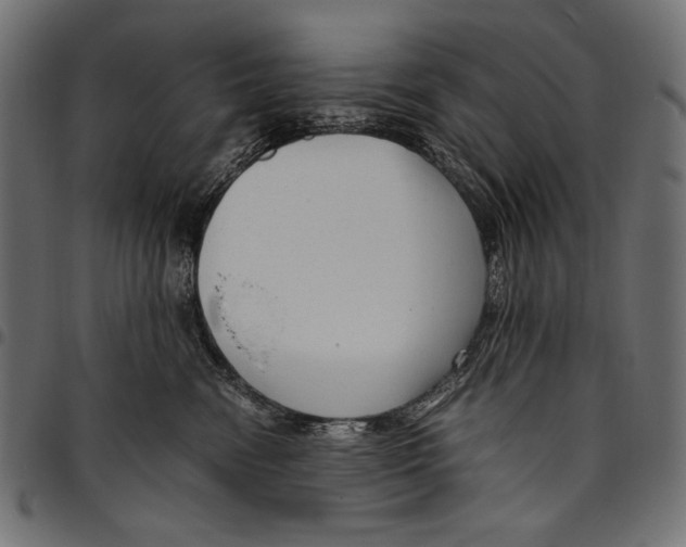 X0000094780474200712141624