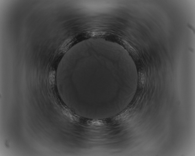 X0000094780475200712141624